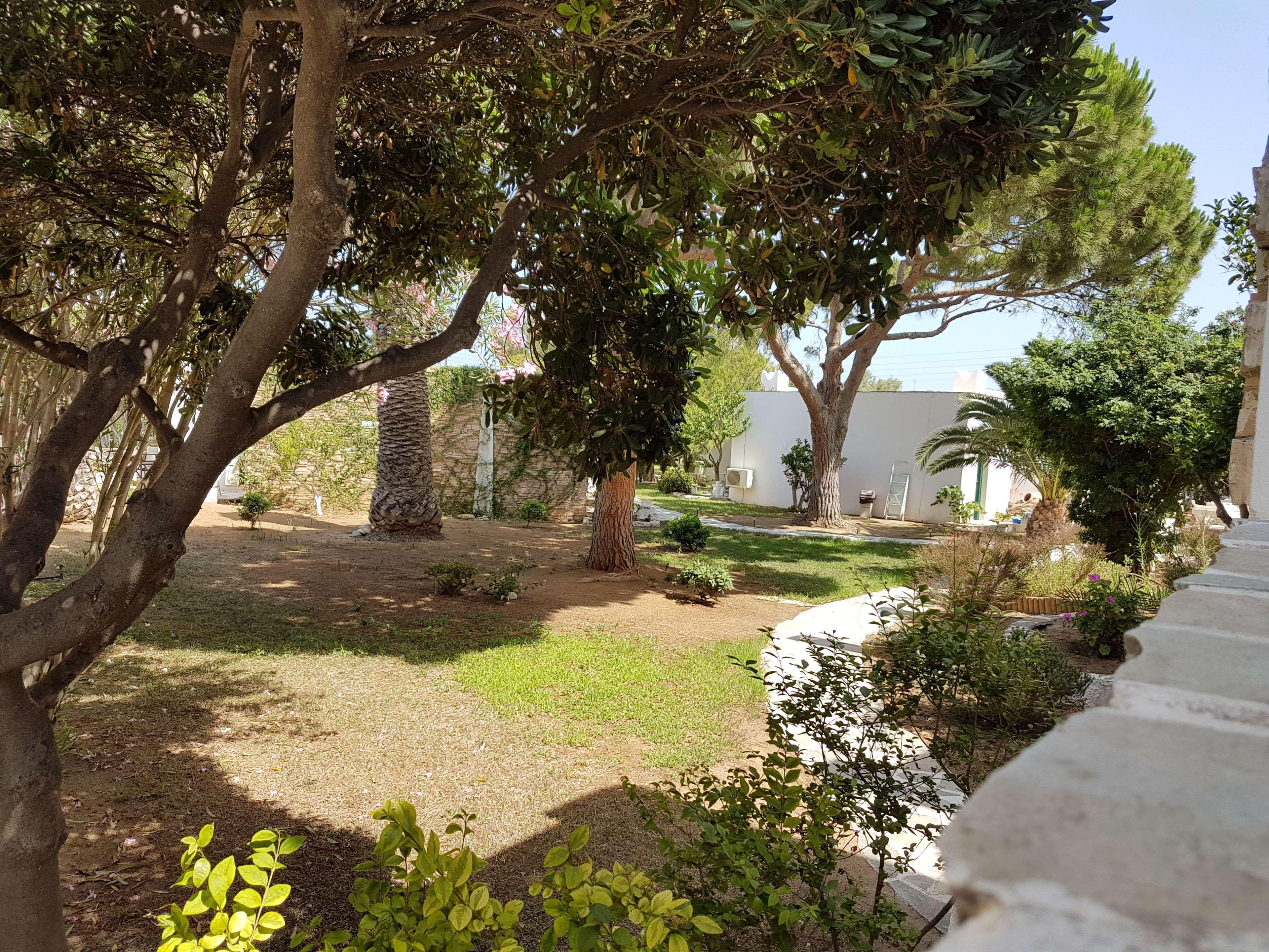 Hotel Naxos Beach Naxos City Extérieur photo