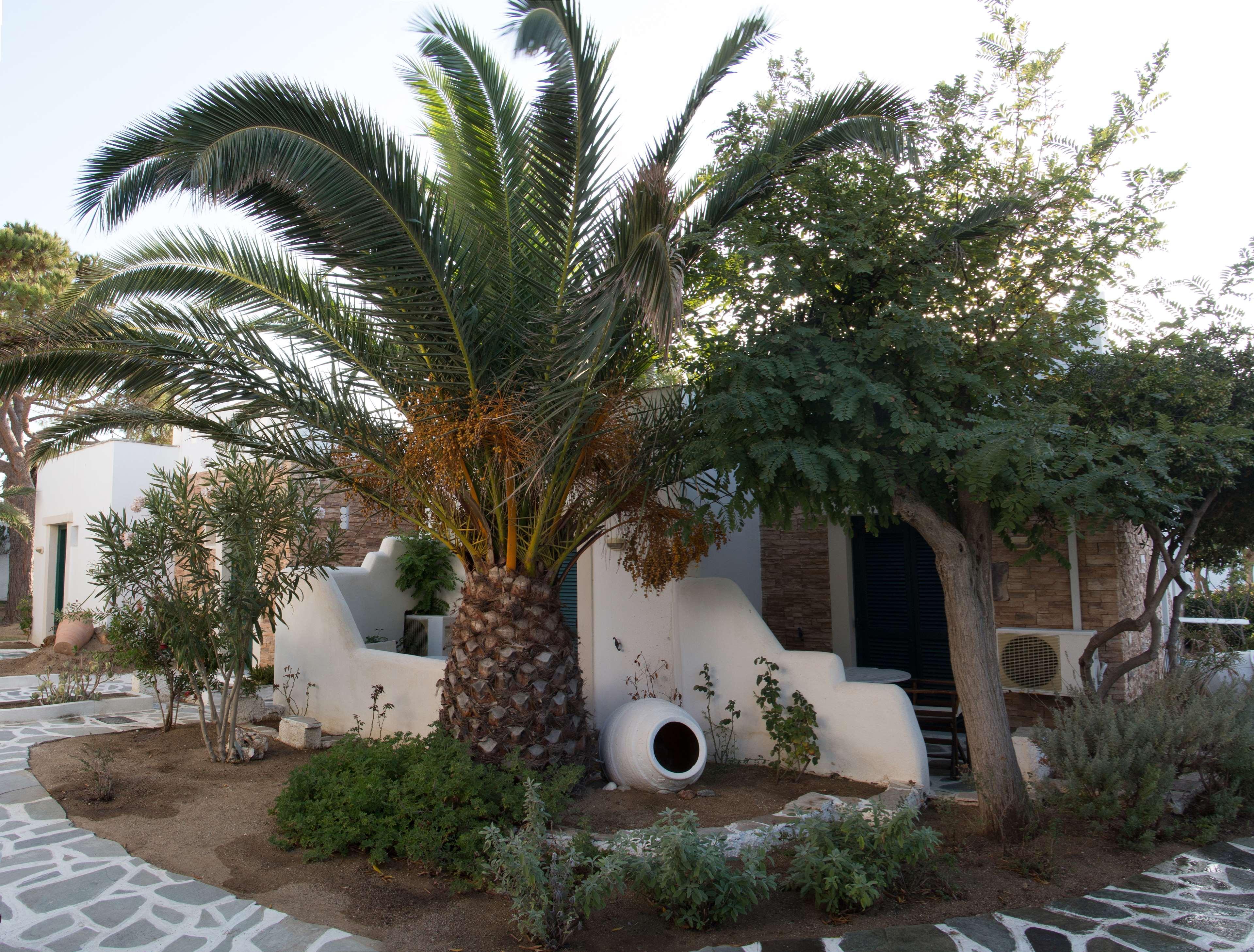 Hotel Naxos Beach Naxos City Extérieur photo